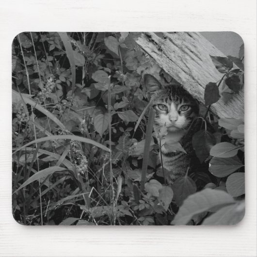 放浪者の住居 マウスパッド (正面)