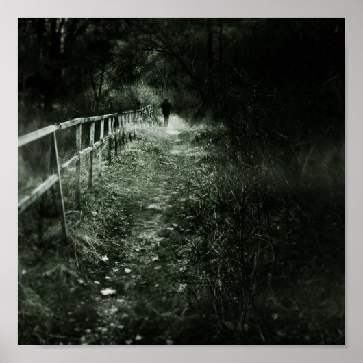 放浪者 ポスター (正面)