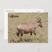 放浪 ポストカード (正面/裏面)