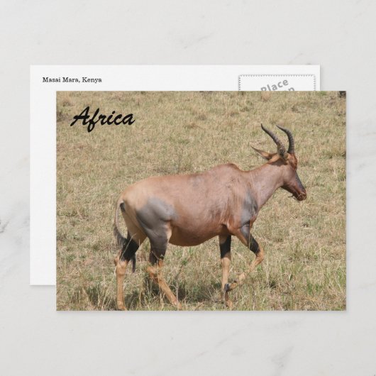 放浪 ポストカード (正面/裏面)