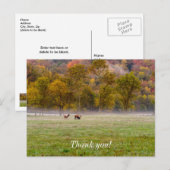 放牧するエルクのカップル　感謝のポストカード ポストカード (正面/裏面)