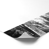 放牧の鹿ヨセミテ白黒の写真 ポスター (角)