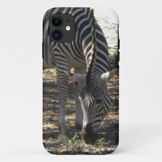 放牧ゼブラiPhone 5ケース Case-Mate iPhoneケース (裏面)
