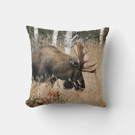 放牧ブルムース クッション (正面)