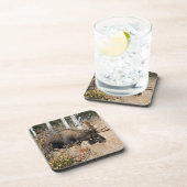 放牧ブルムース コースター (右側)