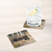 放牧ブルムース スクエアペーパーコースター (インサイチュ)