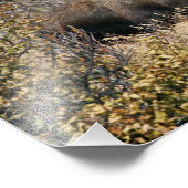 放牧ブルムース フォトプリント            (角)