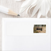 放牧ブルムース ラベル (インサイチュ)