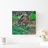 放牧ベイポニーウマ科のフォトホース愛好家 スクエア壁時計 (ホーム)