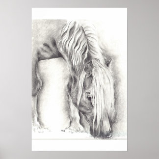 放牧ポニー ポスター