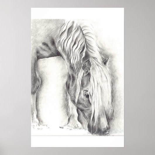 放牧ポニー ポスター (正面)