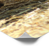 放牧ヤギ ポスター (角)