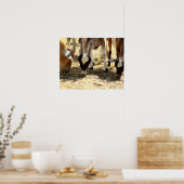 放牧ヤギ ポスター (キッチン)