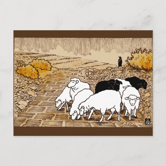 放牧中 ポストカード (正面)