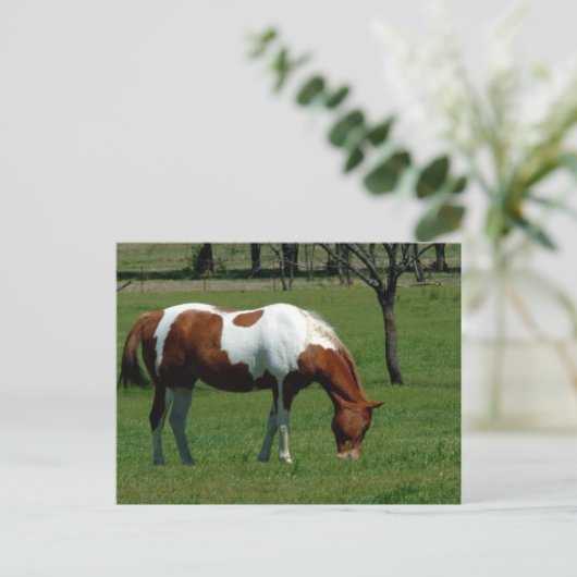 放牧民 ポストカード (スタンド正面)