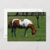 放牧民 ポストカード (正面/裏面)