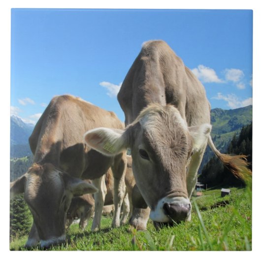 放牧牛タイル タイル (正面)