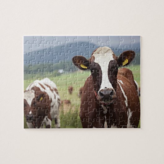 放牧牛 ジグソーパズル (横)