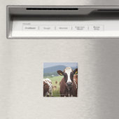 放牧牛 マグネット (インサイチュ (食洗機))