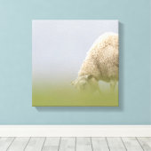 放牧羊の自然写真 キャンバスプリント (インサイチュ (ウッドフロア))