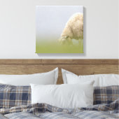 放牧羊の自然写真 キャンバスプリント (インサイチュ (寝室))
