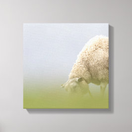 放牧羊の自然写真 キャンバスプリント