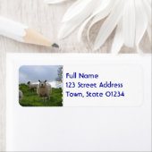 放牧羊 ラベル (インサイチュ)