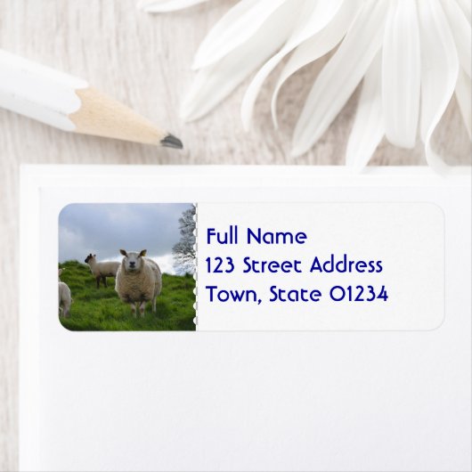 放牧羊 ラベル (インサイチュ)