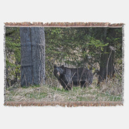 放牧野生動物ブラックベアーワイルドライフ写真 スローブランケット