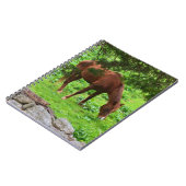 放牧馬ノート ノートブック (左側)