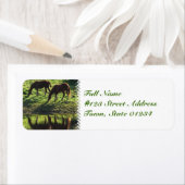 放牧馬ペアの郵送ラベル ラベル (インサイチュ)