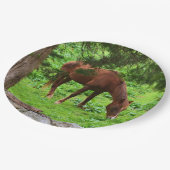 放牧馬紙プレート ペーパープレート (アングル)