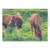 放牧馬 (正面横)