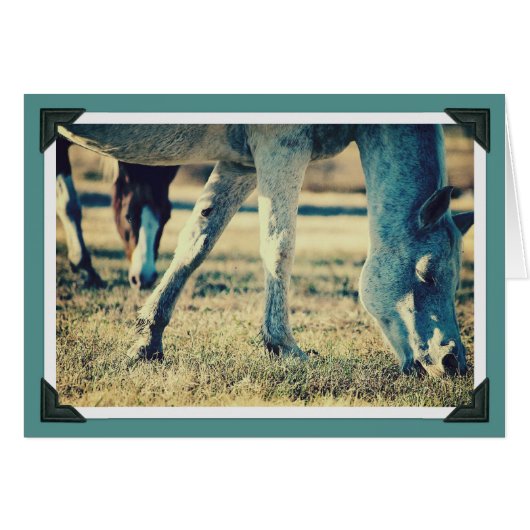 放牧馬 (正面横)