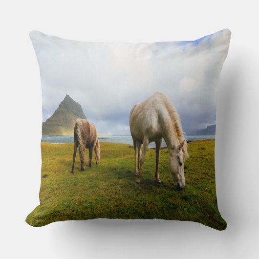 放牧馬 クッション (正面)