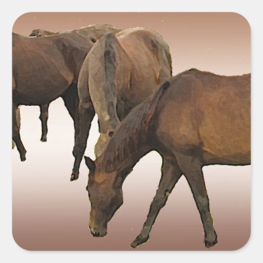 放牧馬 スクエアシール (正面)
