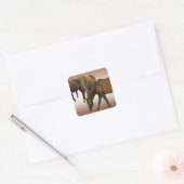 放牧馬 スクエアシール (封筒)