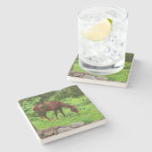 放牧馬 ストーンコースター (横)