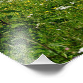 放牧馬 フォトプリント            (角)