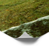 放牧馬 ポスター (角)