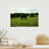 放牧馬 ポスター (キッチン)