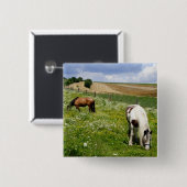 放牧馬 缶バッジ (正面&裏面)