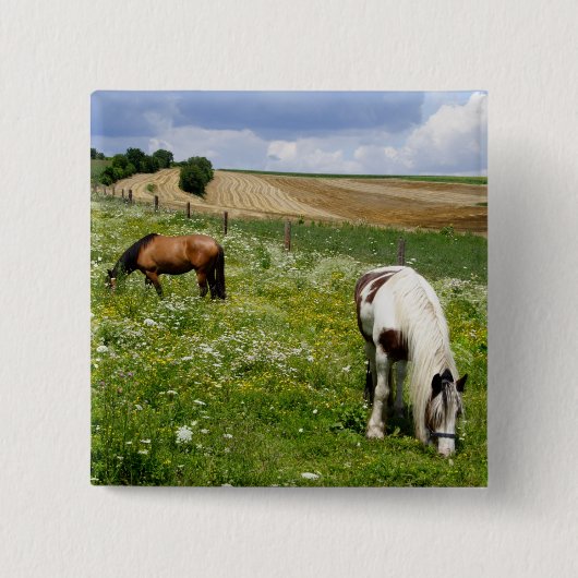 放牧馬 缶バッジ (正面)