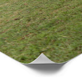 放牧 ポスター (角)