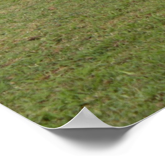 放牧 ポスター (角)