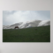 放牧 ポスター (正面)