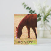 放牧 ポストカード (スタンド正面)