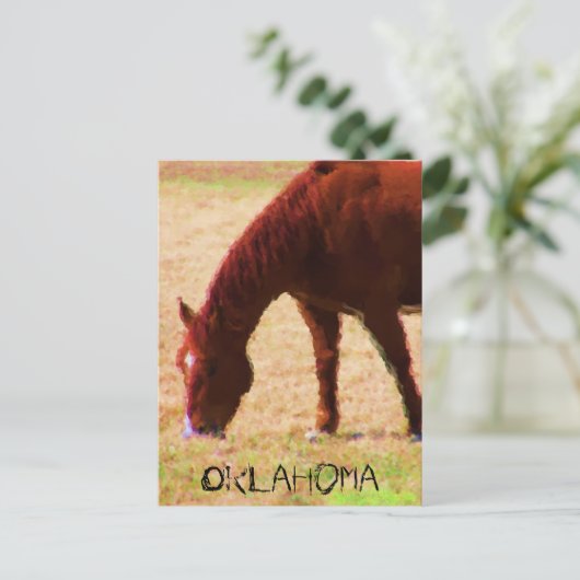 放牧 ポストカード (スタンド正面)