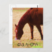 放牧 ポストカード (正面/裏面)