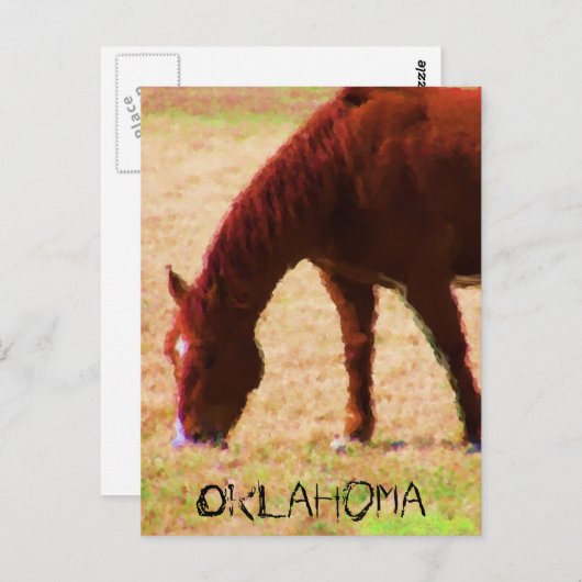 放牧 ポストカード (正面/裏面)